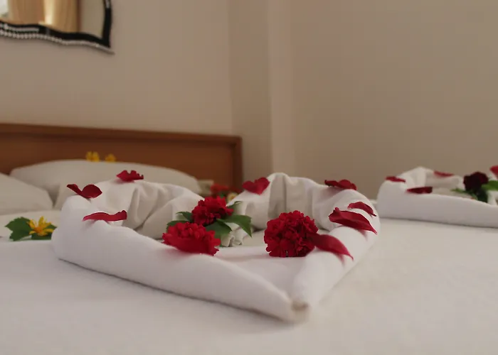 Mavibelce אולודניץ