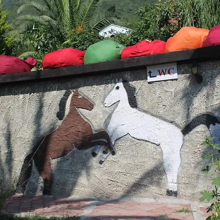 Mavibelce 2* Ölüdeniz